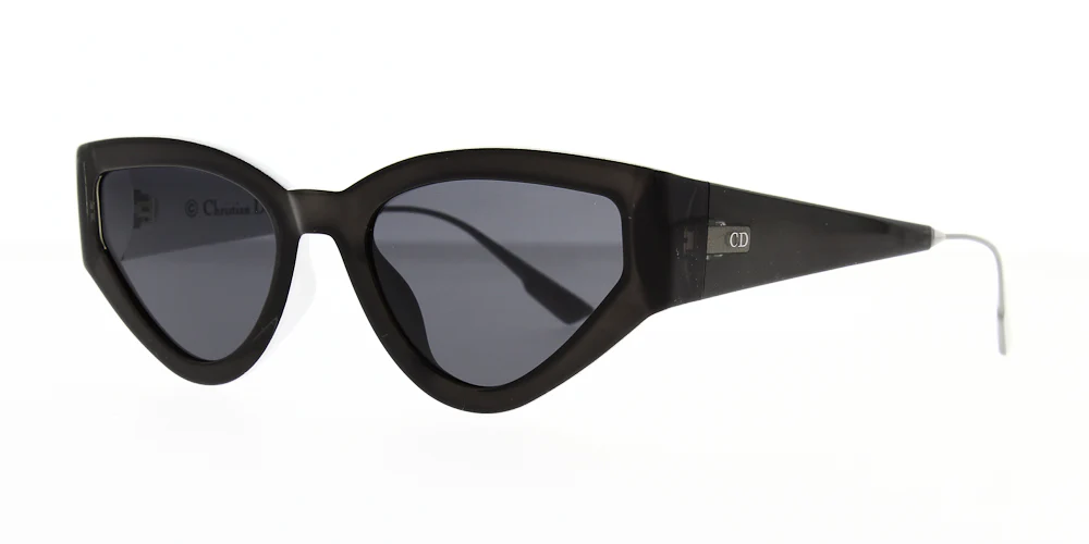 Dior CatStyleDior1