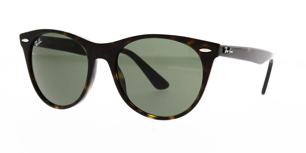 Ray Ban Wayfarer ll Sunglasses RB2185 - Image 25