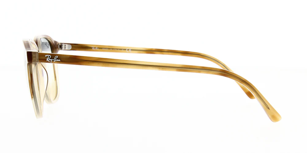 Ray Ban Leonard Sunglasses RB2193 - Image 15
