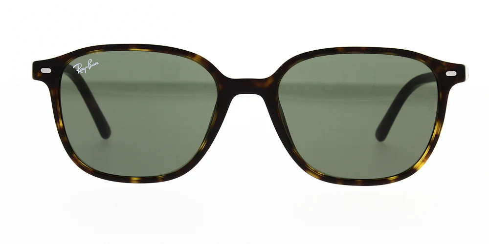 Ray Ban Leonard Sunglasses RB2193 - Image 2