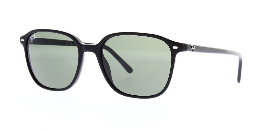 Ray Ban Leonard Sunglasses RB2193 - Image 34