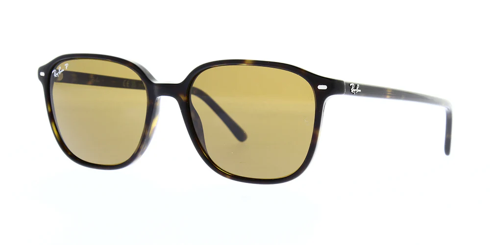 Ray Ban Leonard Sunglasses RB2193 - Image 40
