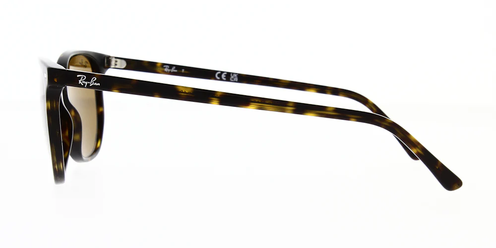 Ray Ban Elliot Sunglasses RB2197 - Image 18