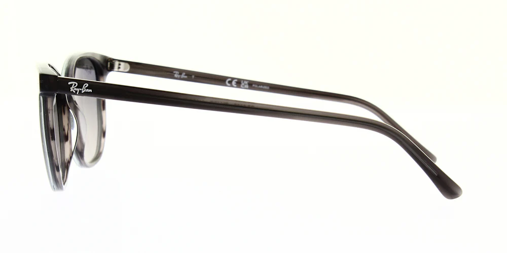 Ray Ban Elliot Sunglasses RB2197 - Image 25