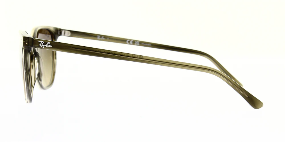 Ray Ban Elliot Sunglasses RB2197 - Image 30