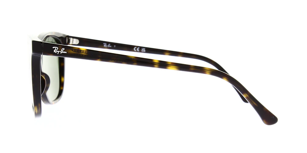 Ray Ban RB2210 - Image 6