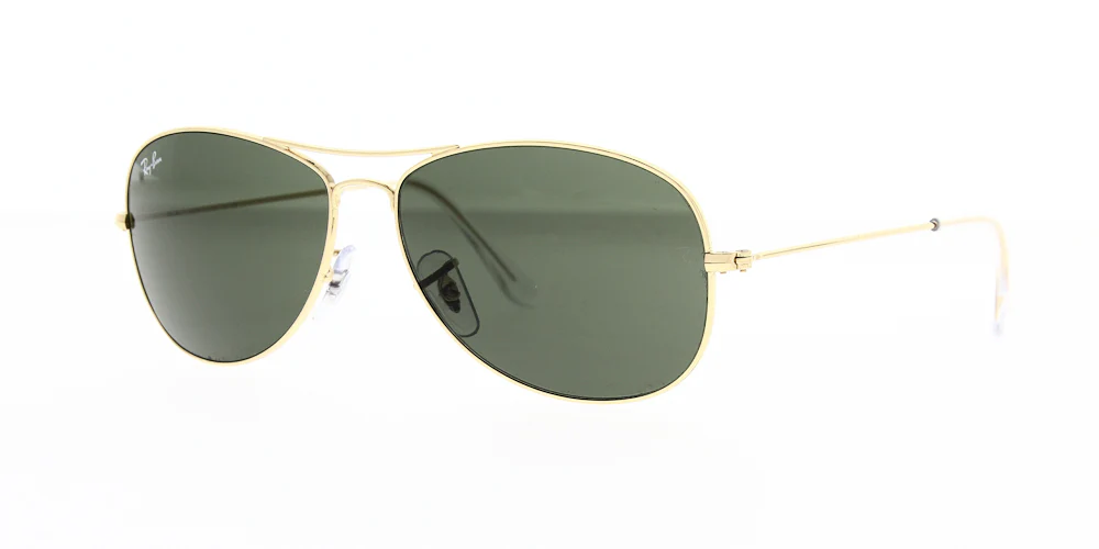 Ray Ban Cockpit Sunglasses RB3362