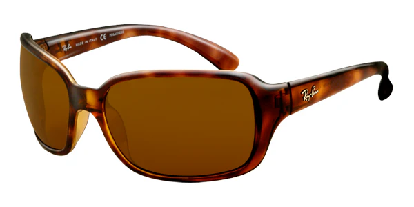 Ray Ban RB4068 Sunglasses - Image 2