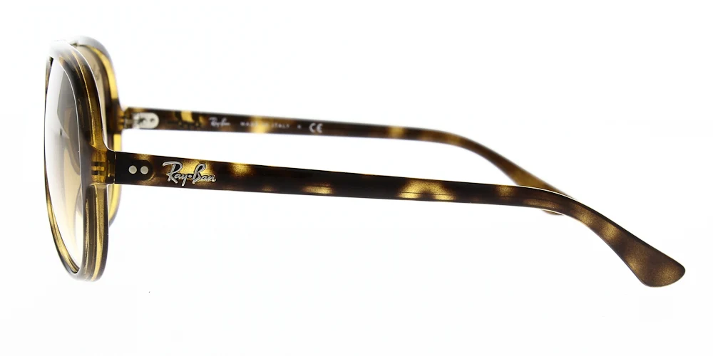 Ray Ban Cats 5000 Sunglasses RB4125 - Image 3