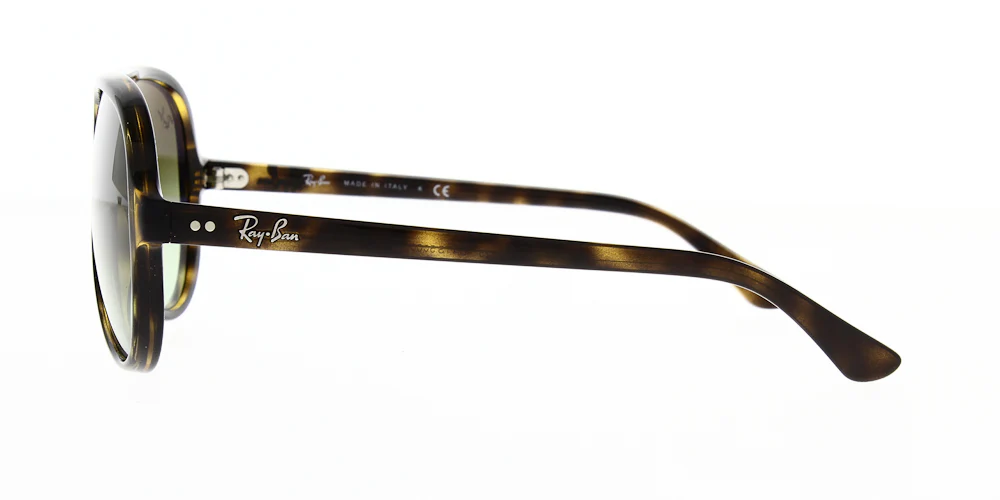 Ray Ban Cats 5000 Sunglasses RB4125 - Image 6