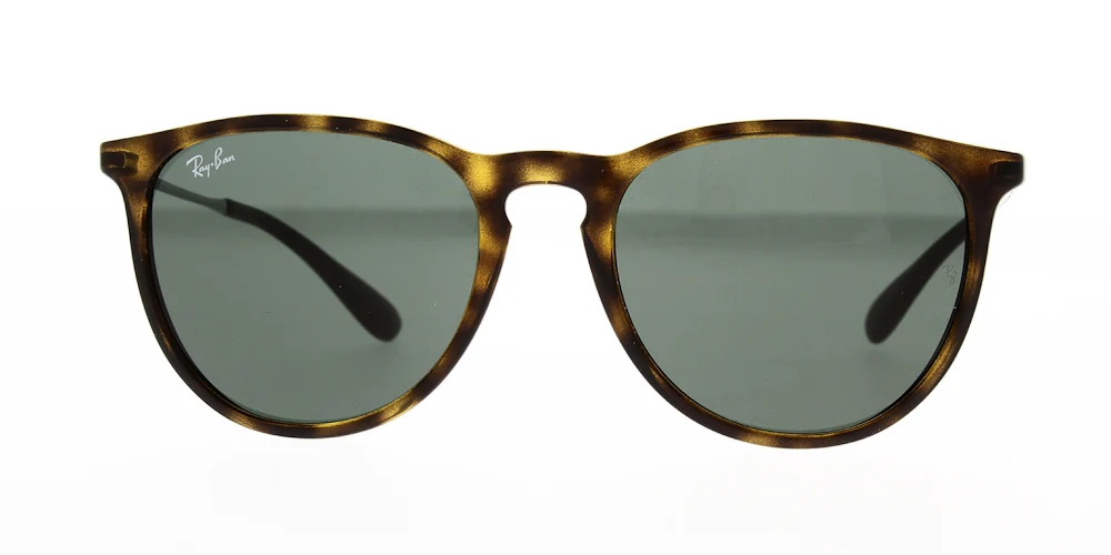 Ray Ban Erika Sunglasses RB4171 - Image 15