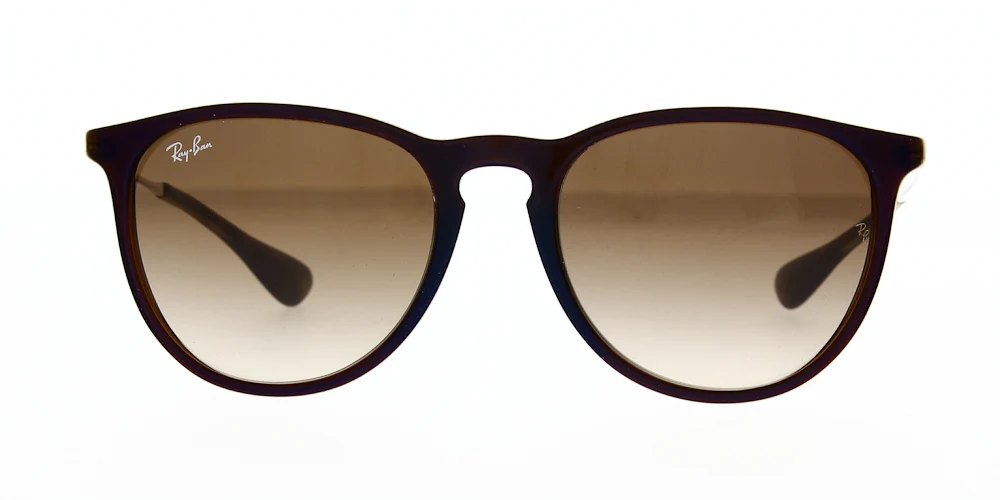 Ray Ban Erika Sunglasses RB4171 - Image 19