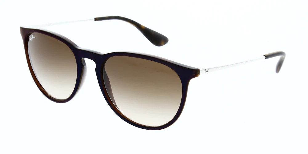 Ray Ban Erika Sunglasses RB4171 - Image 21