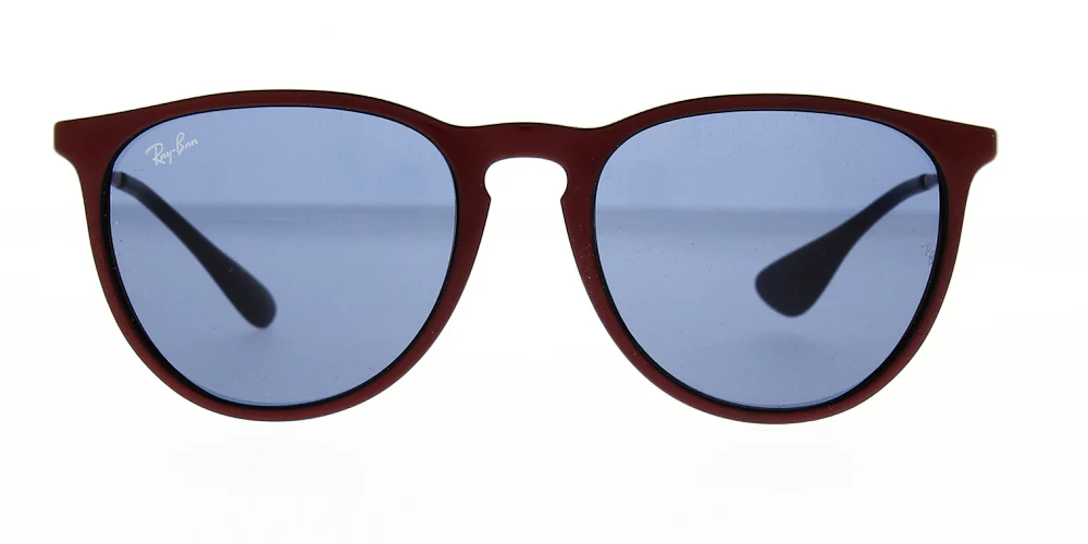 Ray Ban Erika Sunglasses RB4171 - Image 45