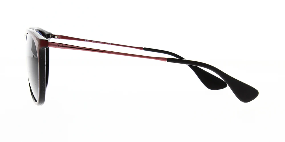 Ray Ban Erika Sunglasses RB4171 - Image 46