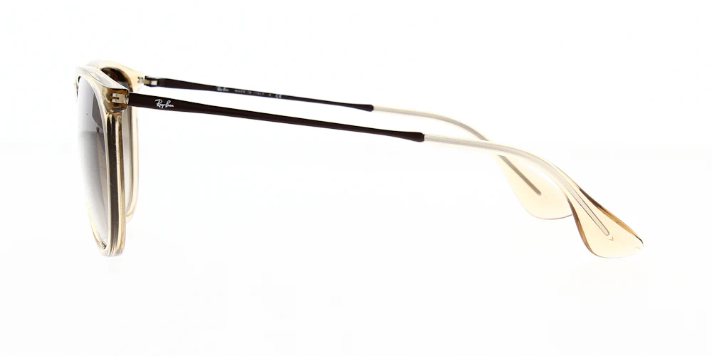 Ray Ban Erika Sunglasses RB4171 - Image 53