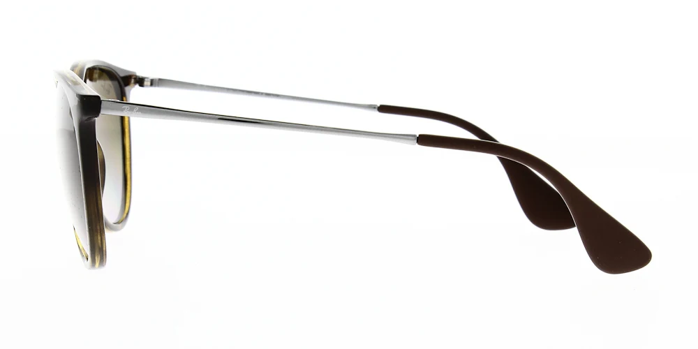 Ray Ban Erika Sunglasses RB4171 - Image 6