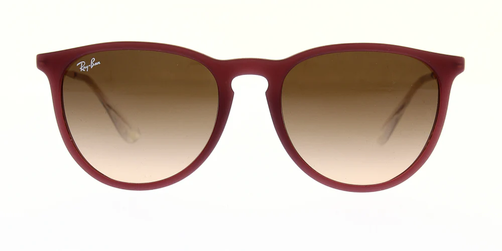 Ray Ban Erika Sunglasses RB4171 - Image 73