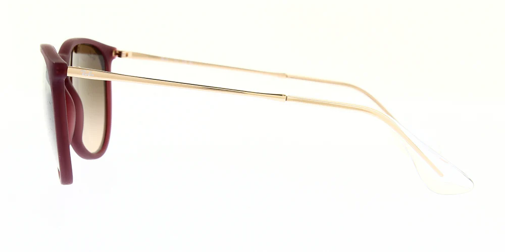 Ray Ban Erika Sunglasses RB4171 - Image 74