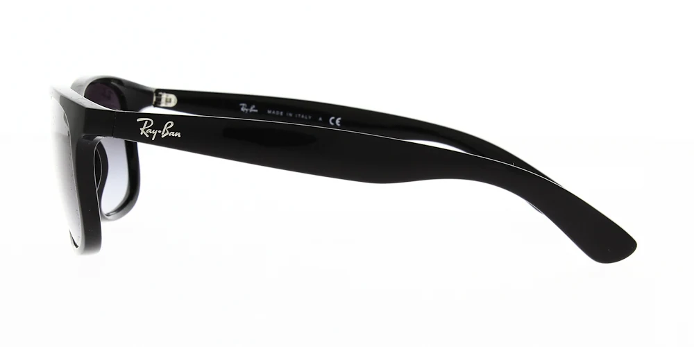 Ray Ban RB4202 - Image 15