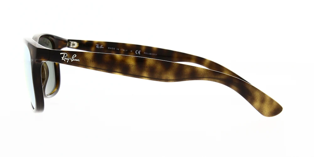 Ray Ban RB4202 - Image 23