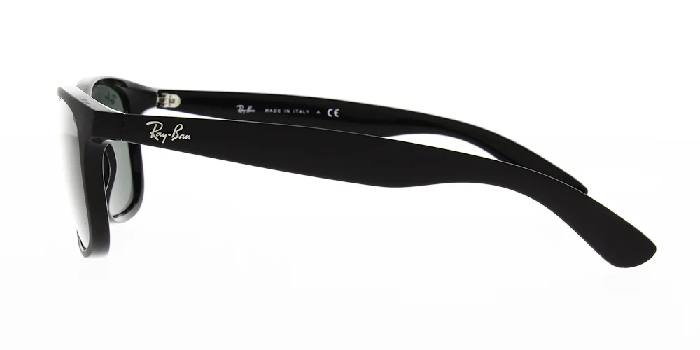 Ray Ban RB4202 - Image 3