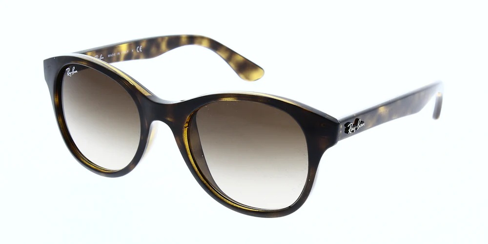Ray Ban RB4203