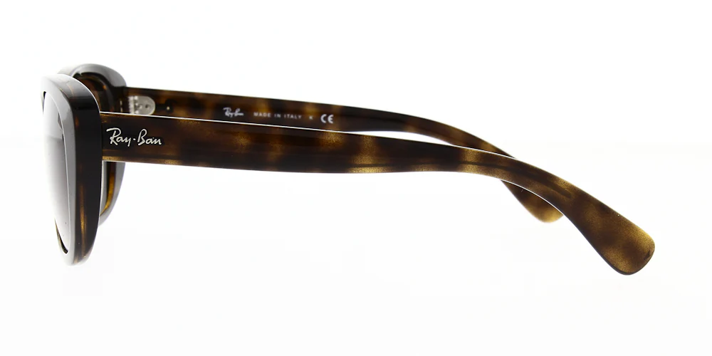 Ray Ban RB4227 - Image 8