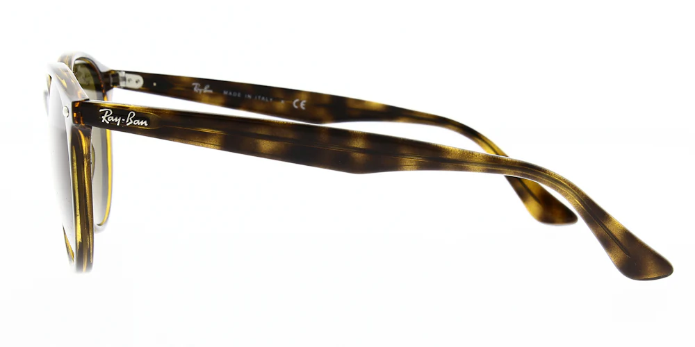 Ray Ban Sunglasses RB4305 - Image 6