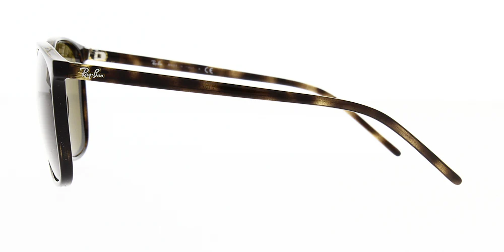 Ray Ban RB4387 - Image 11