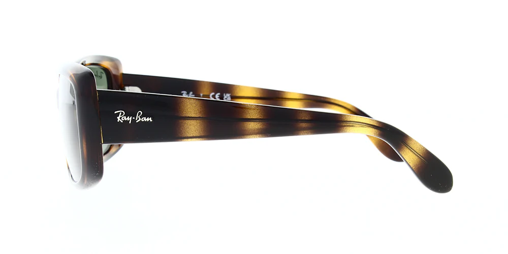 Ray Ban RB4389 - Image 12