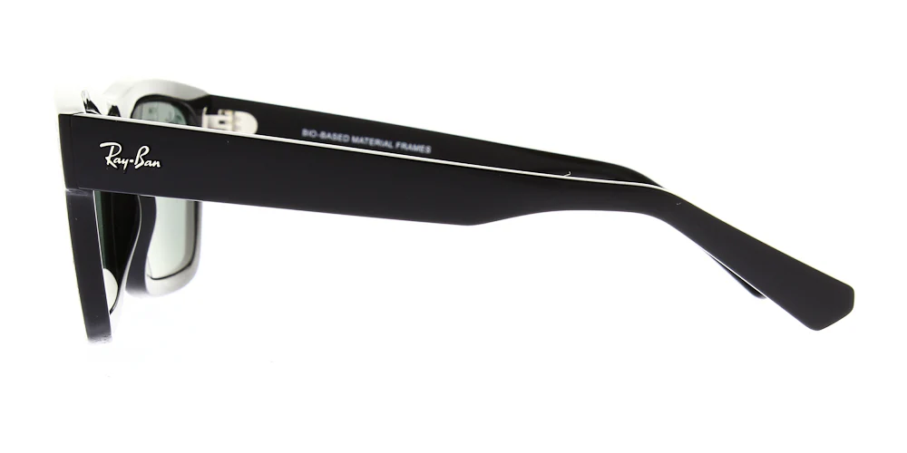 Ray Ban Warren Sunglasses RB4396 - Image 6