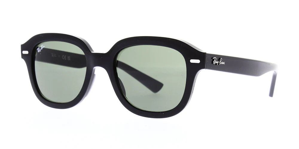 Ray Ban Erik Sunglasses RB4398