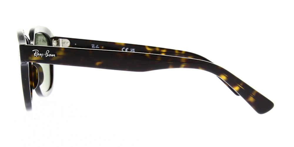 Ray Ban Erik Sunglasses RB4398 - Image 12