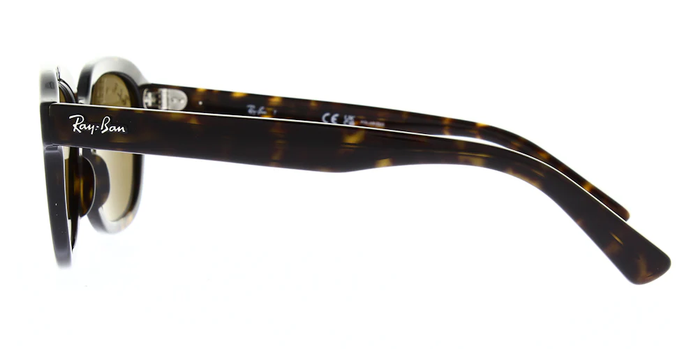 Ray Ban Erik Sunglasses RB4398 - Image 15