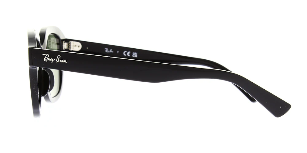 Ray Ban Erik Sunglasses RB4398 - Image 3