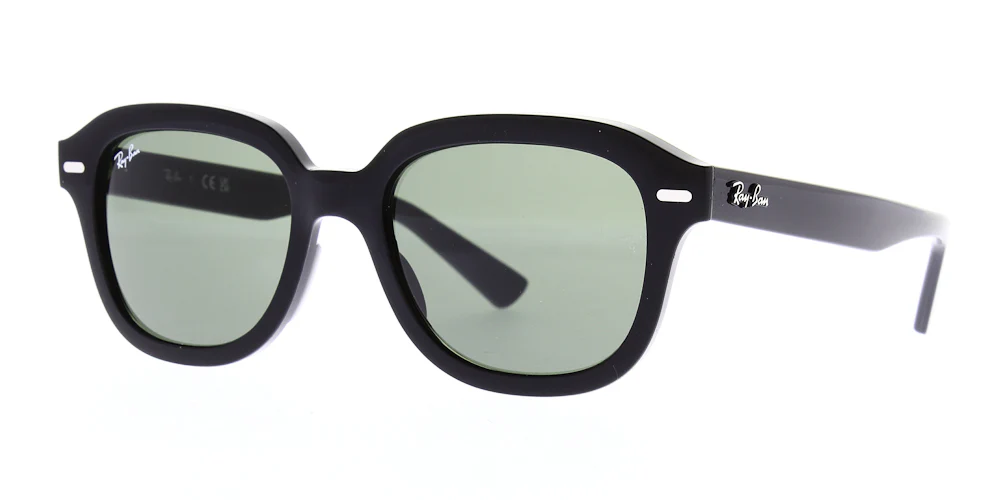 Ray Ban Erik Sunglasses RB4398 - Image 4