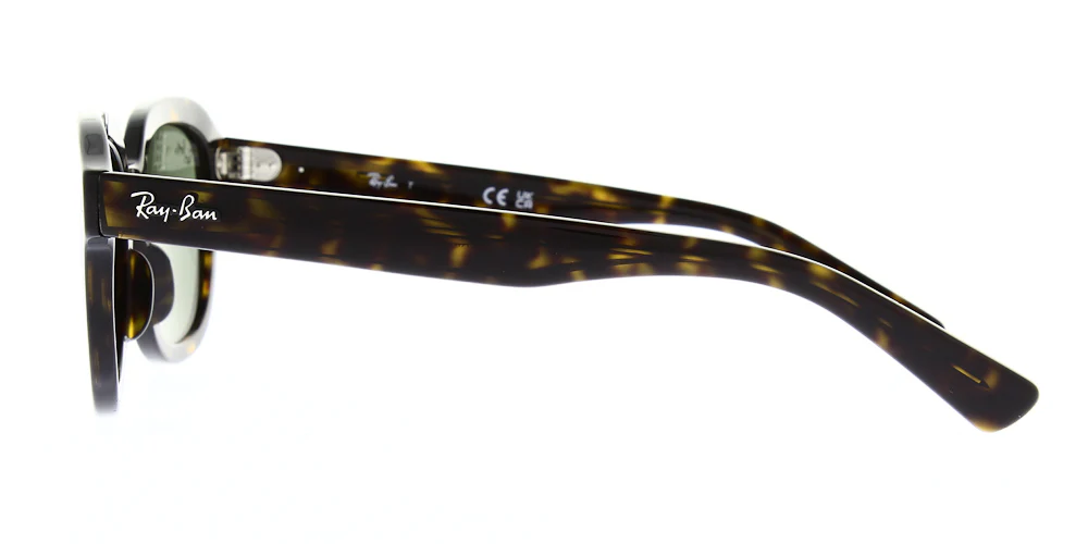 Ray Ban Erik Sunglasses RB4398 - Image 9