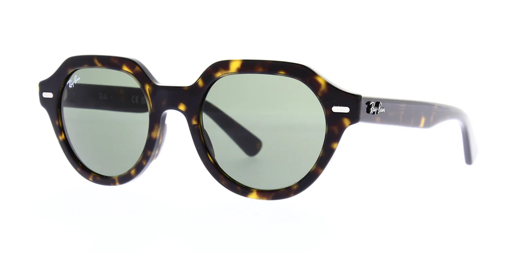 Ray Ban Gina Sunglasses RB4399