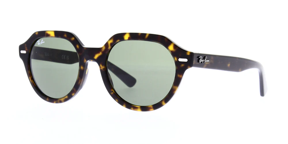 Ray Ban Gina Sunglasses RB4399 - Image 4