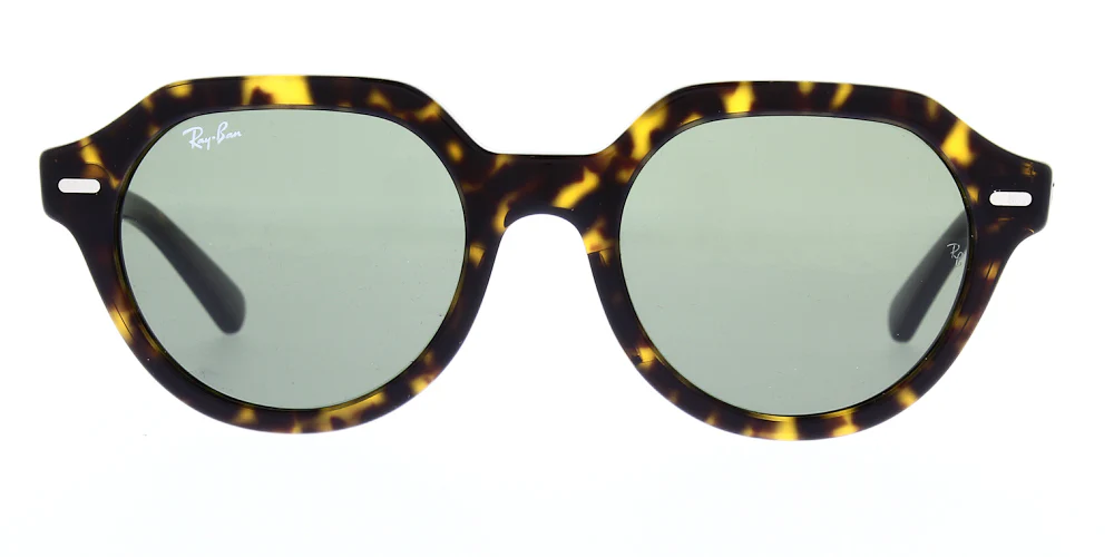 Ray Ban Gina Sunglasses RB4399 - Image 5