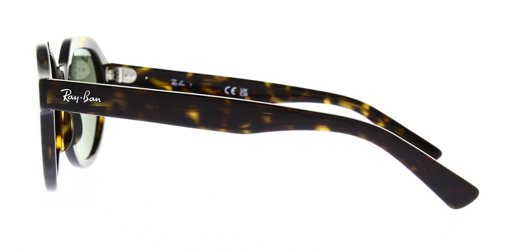 Ray Ban Gina Sunglasses RB4399 - Image 6