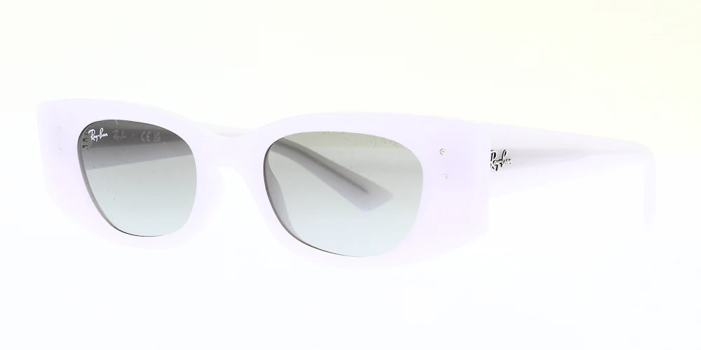 Ray Ban Kat Sunglasses RB4427 - Image 4