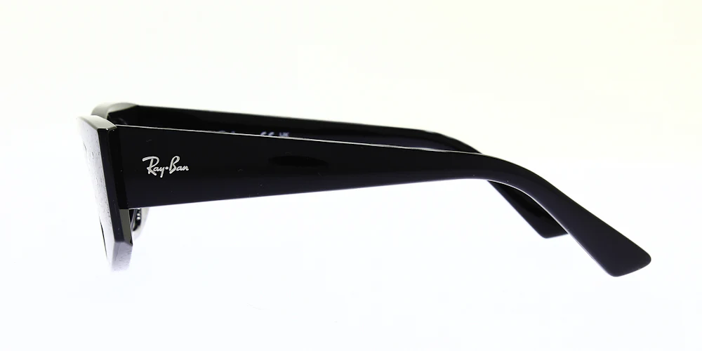 Ray Ban Kat Sunglasses RB4427 - Image 9