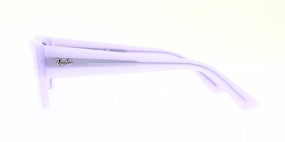 Ray Ban Zena Sunglasses RB4430 - Image 6