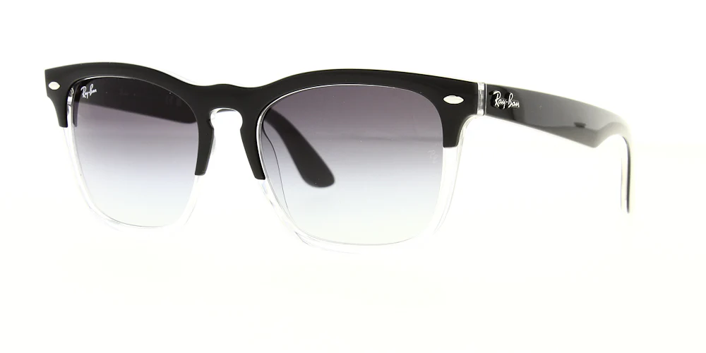 Ray Ban RB4487 - Image 4