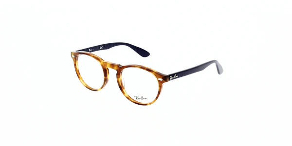 Ray Ban RX5283 - Image 29