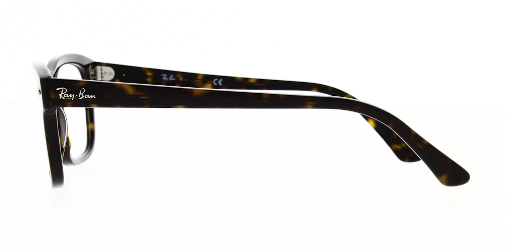 Ray Ban Mr Burbank Glasses RX5383 - Image 15