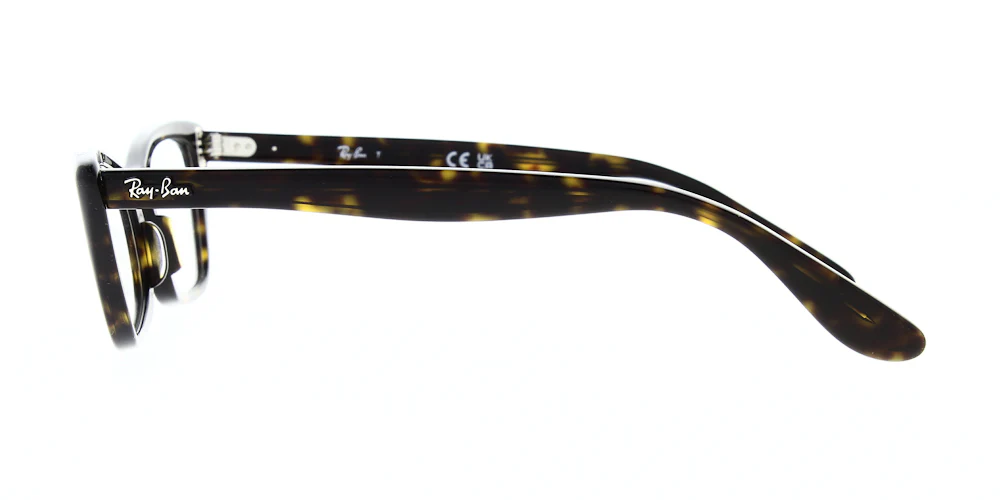 Ray Ban Lady Burbank Glasses RX5499 - Image 12