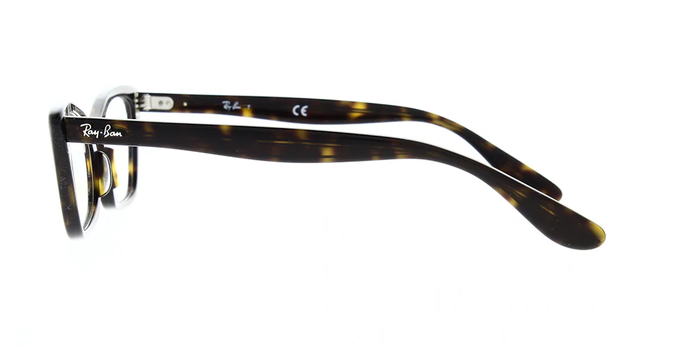 Ray Ban Lady Burbank Glasses RX5499 - Image 15